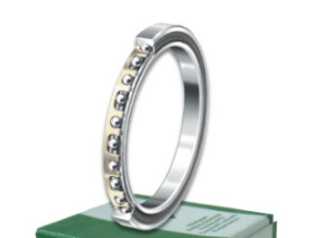 INA CSCG065 bearings